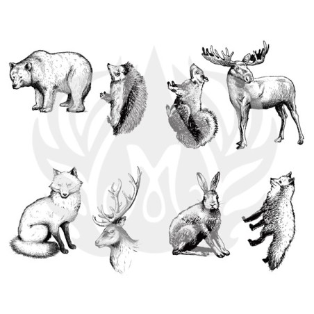 DSS-0101 Woodland animals