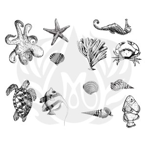DSS-0102 Sea Life