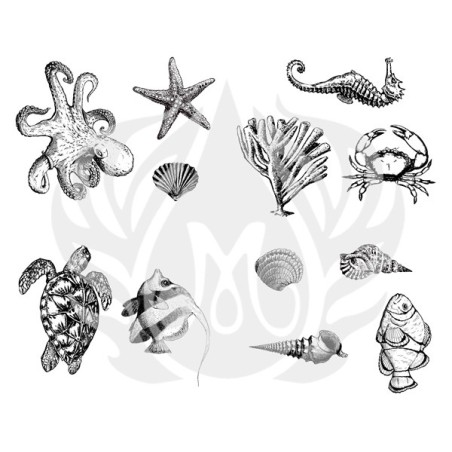 DSS-0102 Sea Life