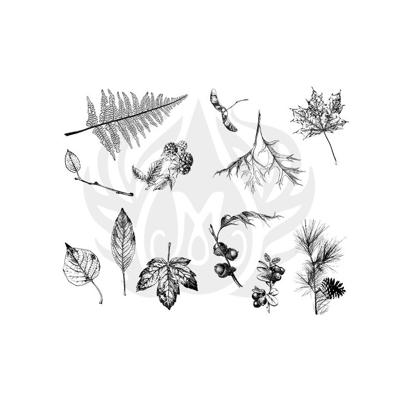 DSS-0111 Botanical - Leaves