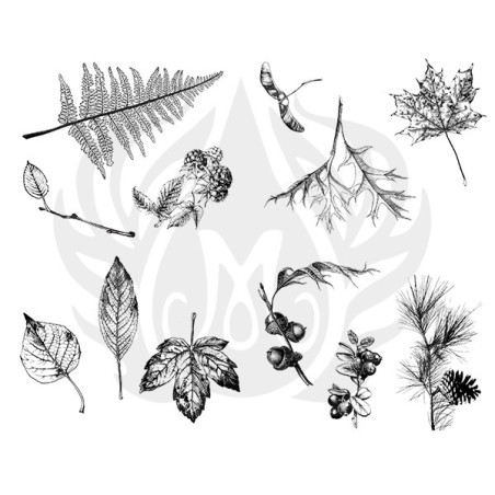 DSS-0111 Botanical - Leaves