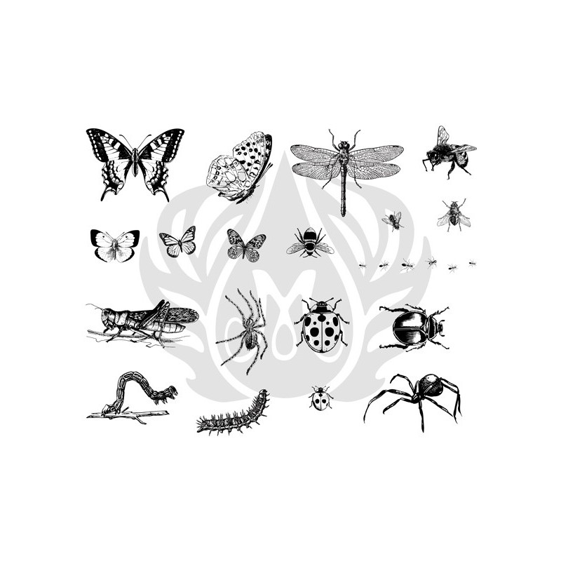 DSS-0113 Bugs