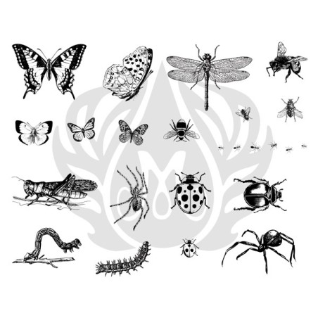 DSS-0113 Bugs