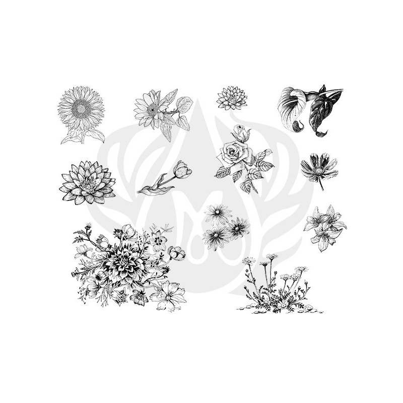 DSS-0138 Flowers 2