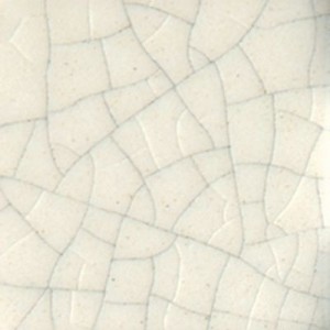 CC 101 Transparent