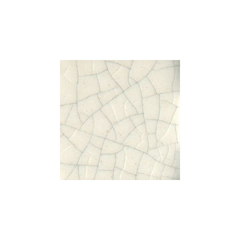CC 101 Transparent
