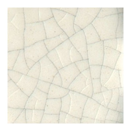 CC 101 Transparent