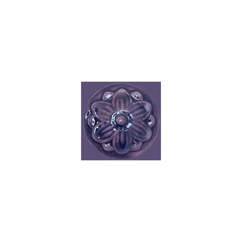 HC 567 Blueberry - Terra Bella