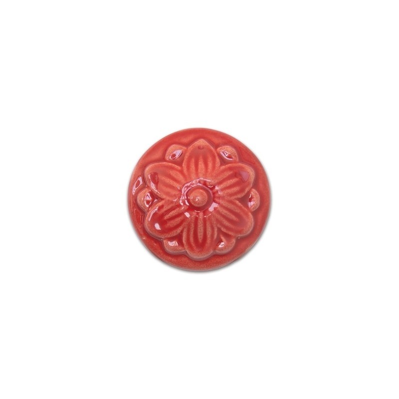 HC 574 Watermelon - Terra Bella