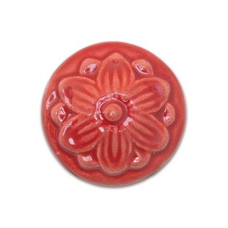 HC 574 Watermelon - Terra Bella