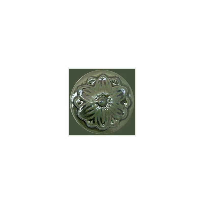 HC 575 Seaweed - Terra Bella