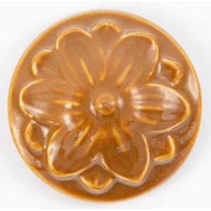 BLS947 Brownie