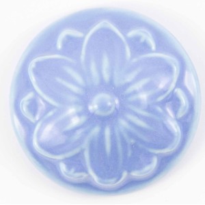 BLS958 Carolina Blue