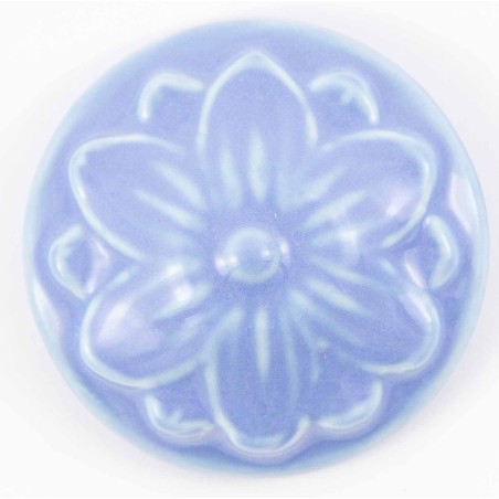 BLS958 Carolina Blue