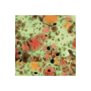 Mayco CG-982 Mixed melon