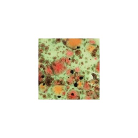 Mayco CG-982 Mixed melon