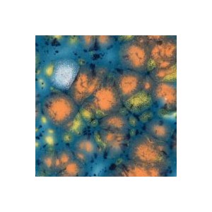 Mayco CG-983 Koi Pond