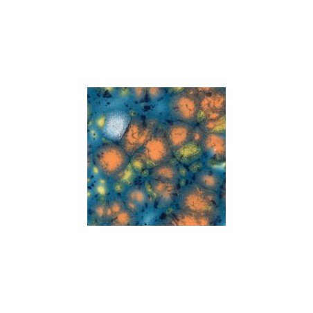 Mayco CG-983 Koi Pond