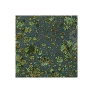 Mayco CG-991 Mountain Moss
