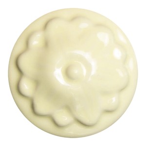 Sand dollar