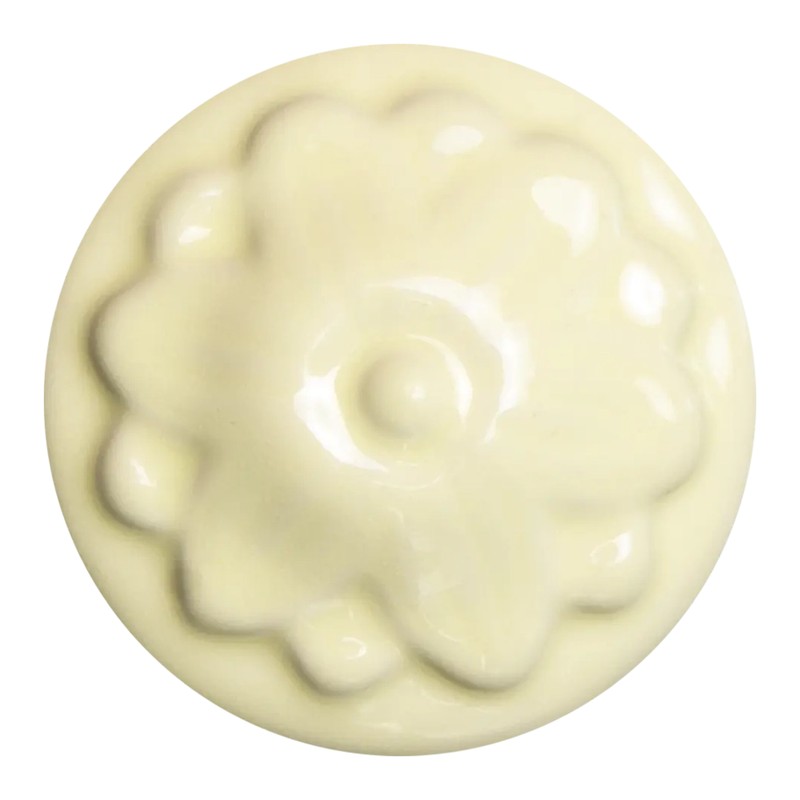 Sand dollar